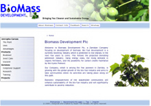Templates und Styles Biomass Development